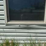 siding damage 2